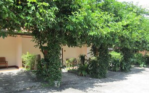 Property grounds - Oasis Resort (Krabi)