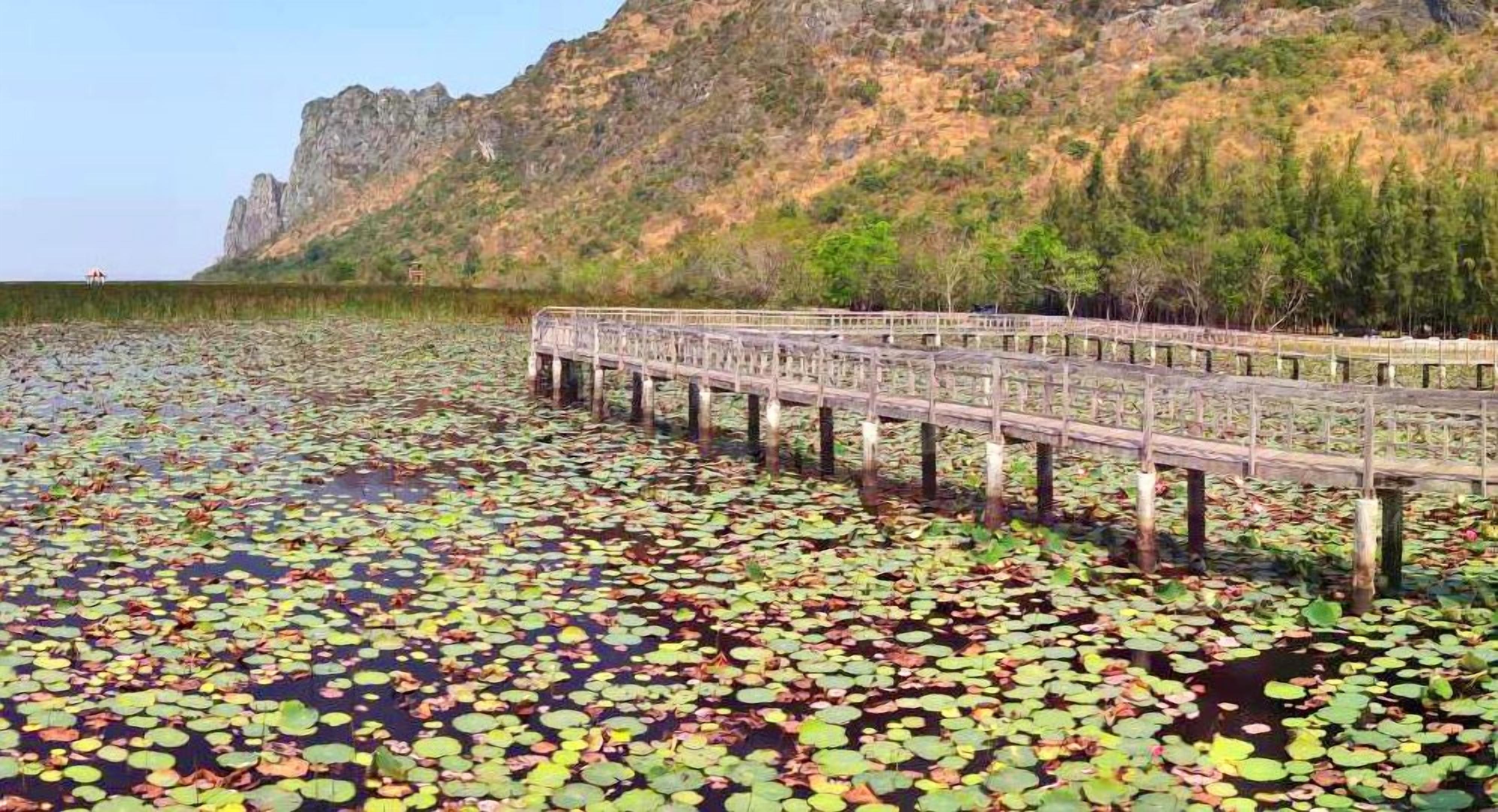 A wooden bridge over a body of water with lily pads, leading to a rocky cliff.