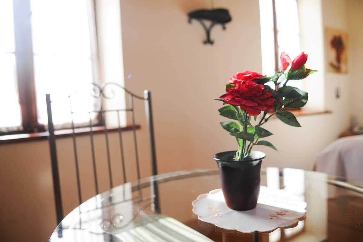 Une table ronde en verre sur laquelle repose un pot noir contenant des roses rouges, le tout posé sur un chemin de table.