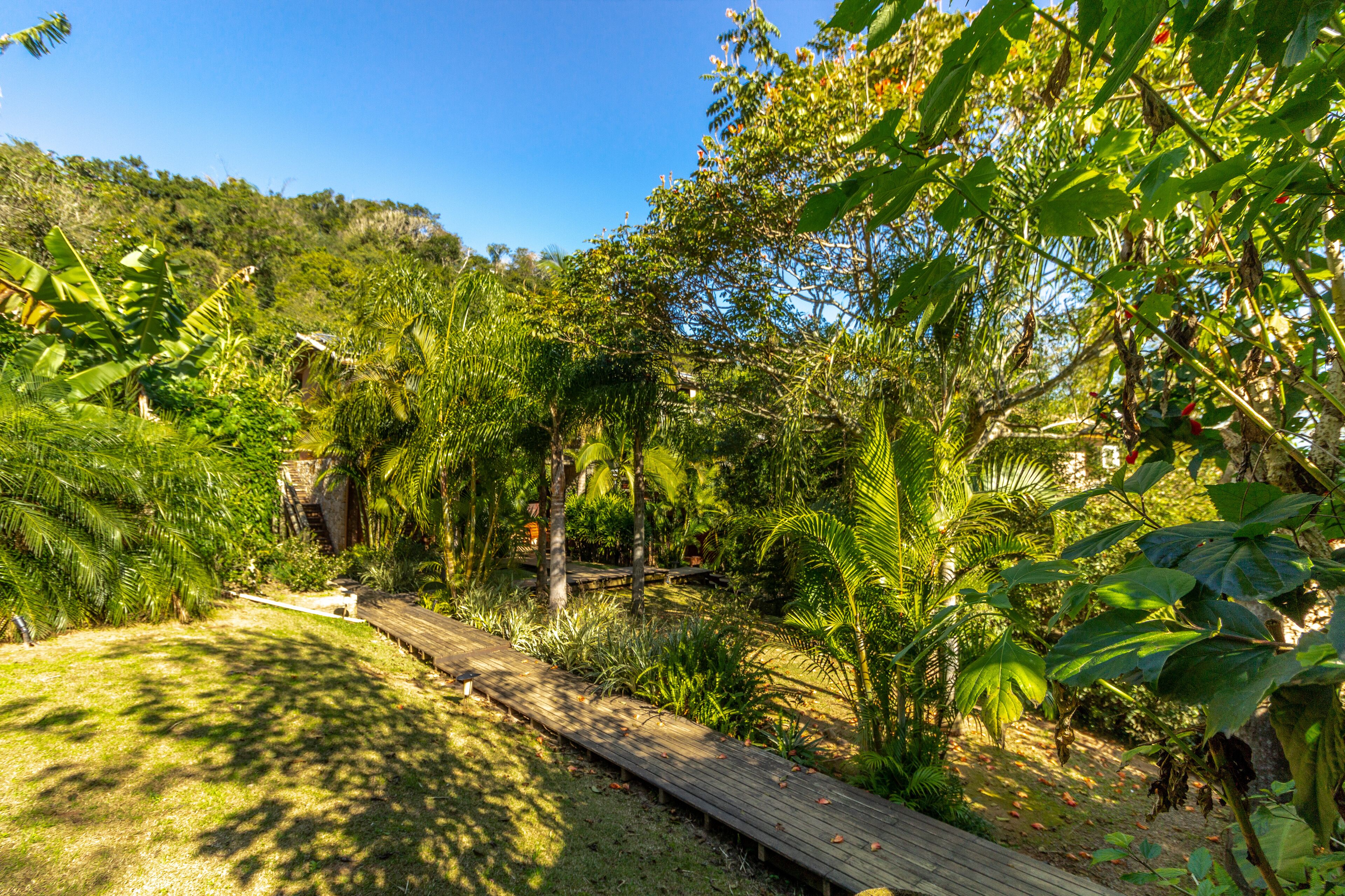 Una terraza de madera rodeada de exuberante follaje y plantas tropicales.