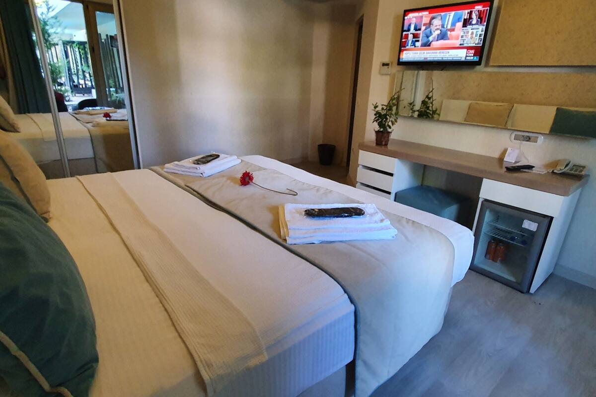 Une chambre d’hôtel avec un lit, un bureau, une télévision et une petite plante.