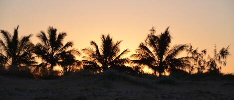Una playa con palmeras silueteadas contra un cielo al atardecer.