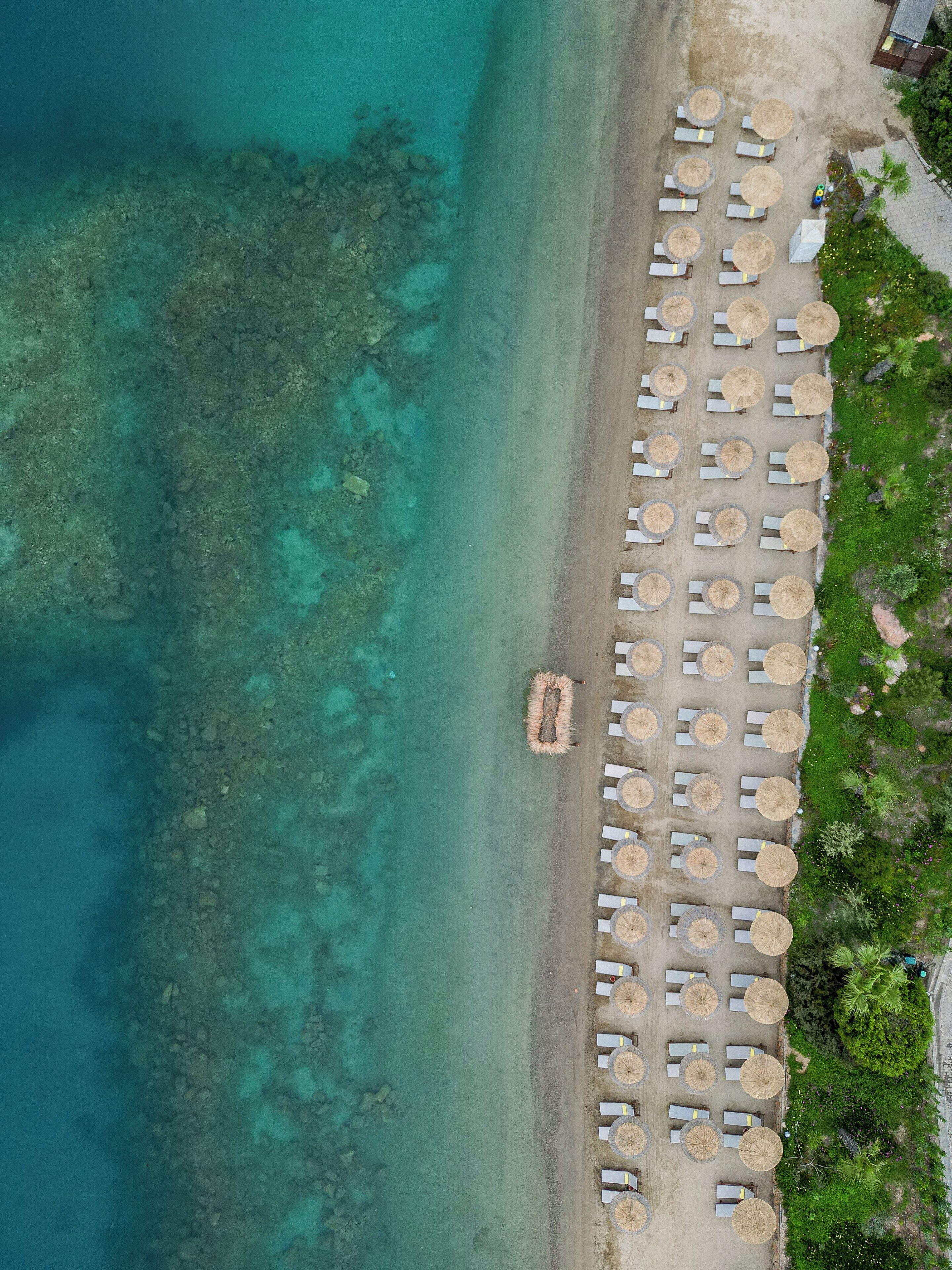 On the beach, sun loungers, beach umbrellas, beach bar
