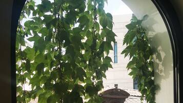 Chambre, 1 grand lit, accessible aux personnes à mobilité réduite | Vue sur la ville