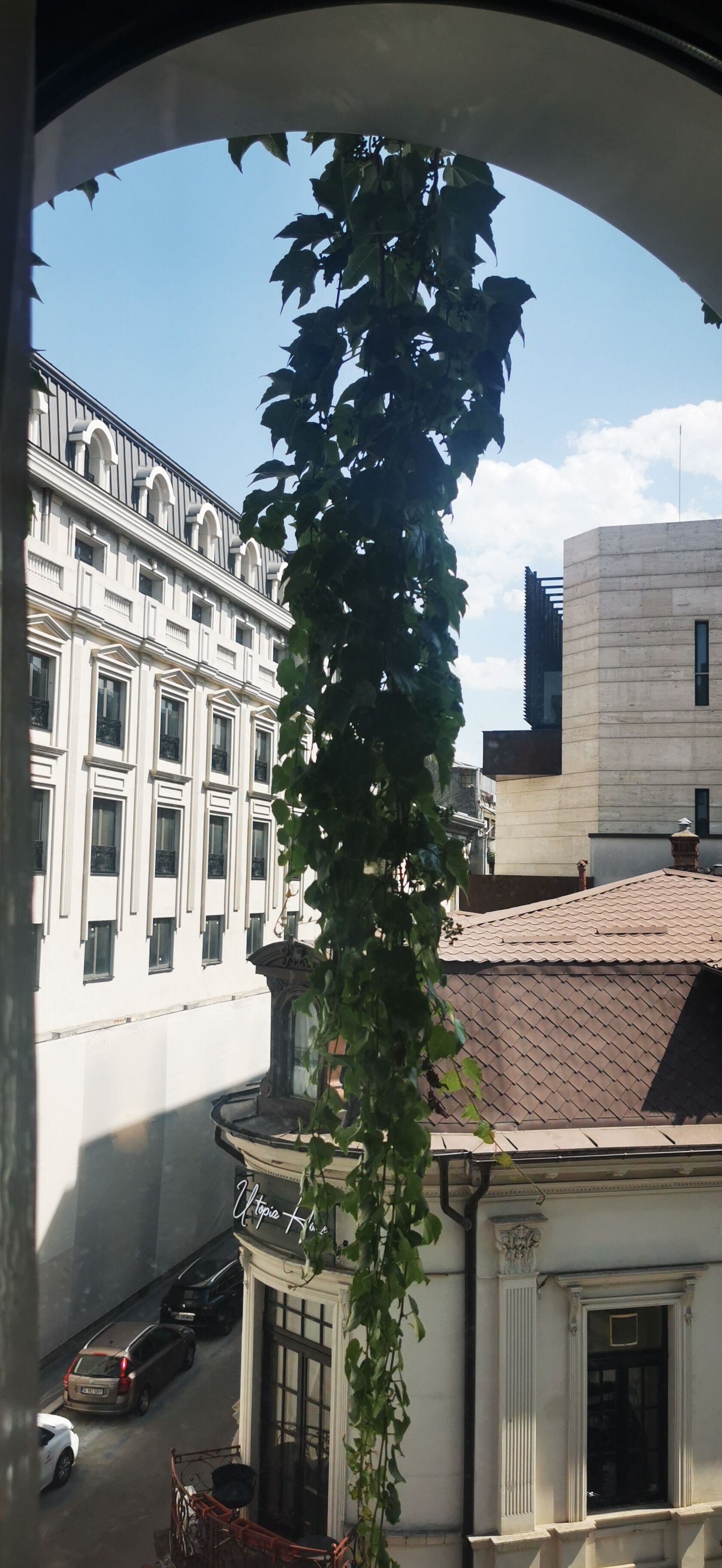 A view through an archway of a building with a balcony and a hanging plant.