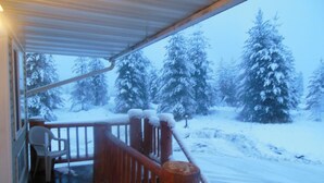 A wooden balcony railing with snow-covered trees in the background.