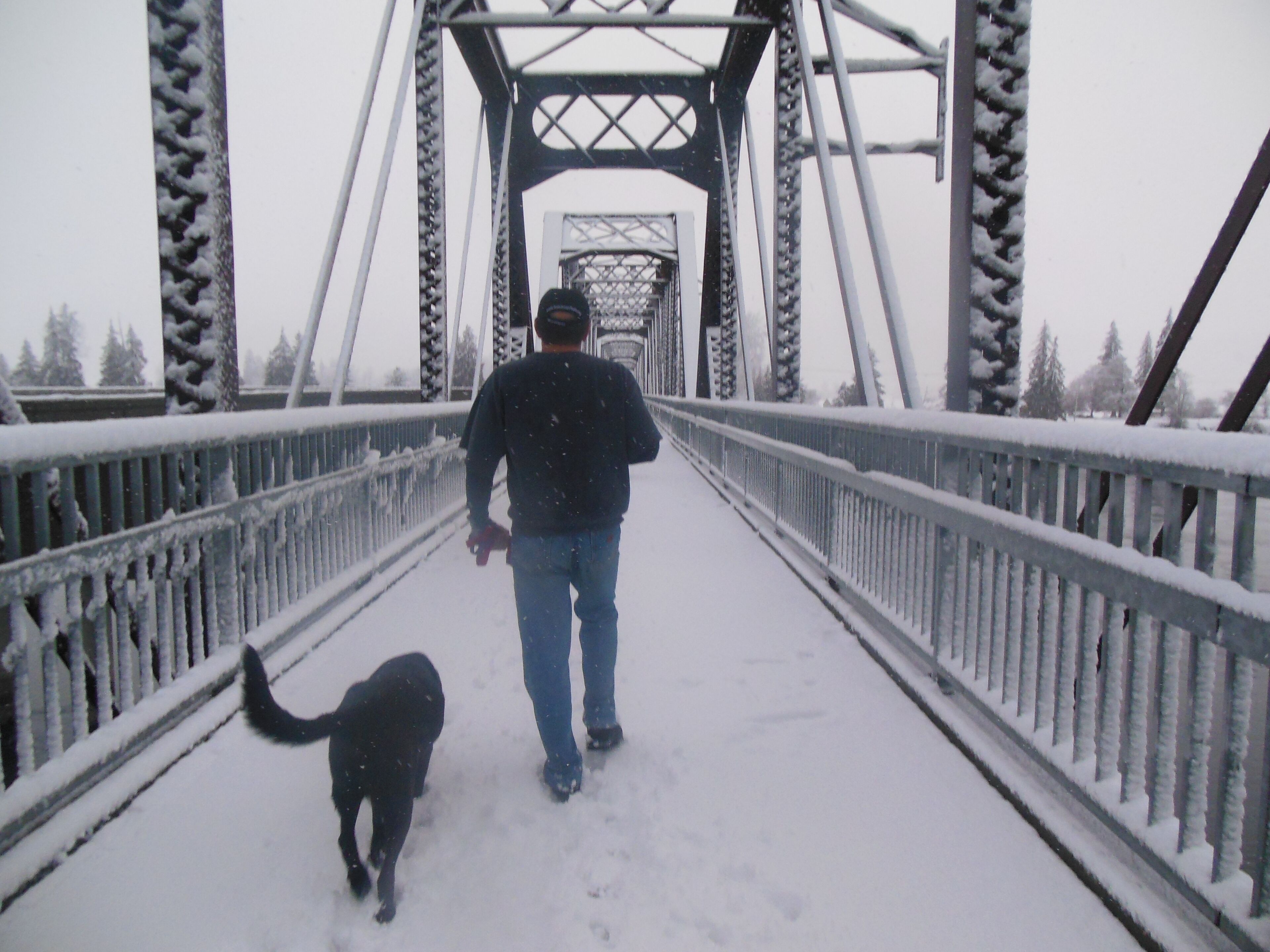 Uma pessoa passeando com um cachorro numa ponte coberta de neve, com guarda-corpos e estrutura de metal.