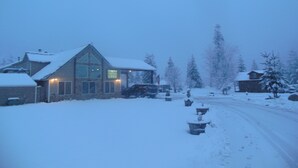 A lodge with a large window and a snow-covered roof, surrounded by snow-covered trees and a clear sky.