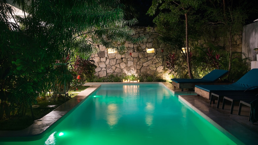 Livetulum