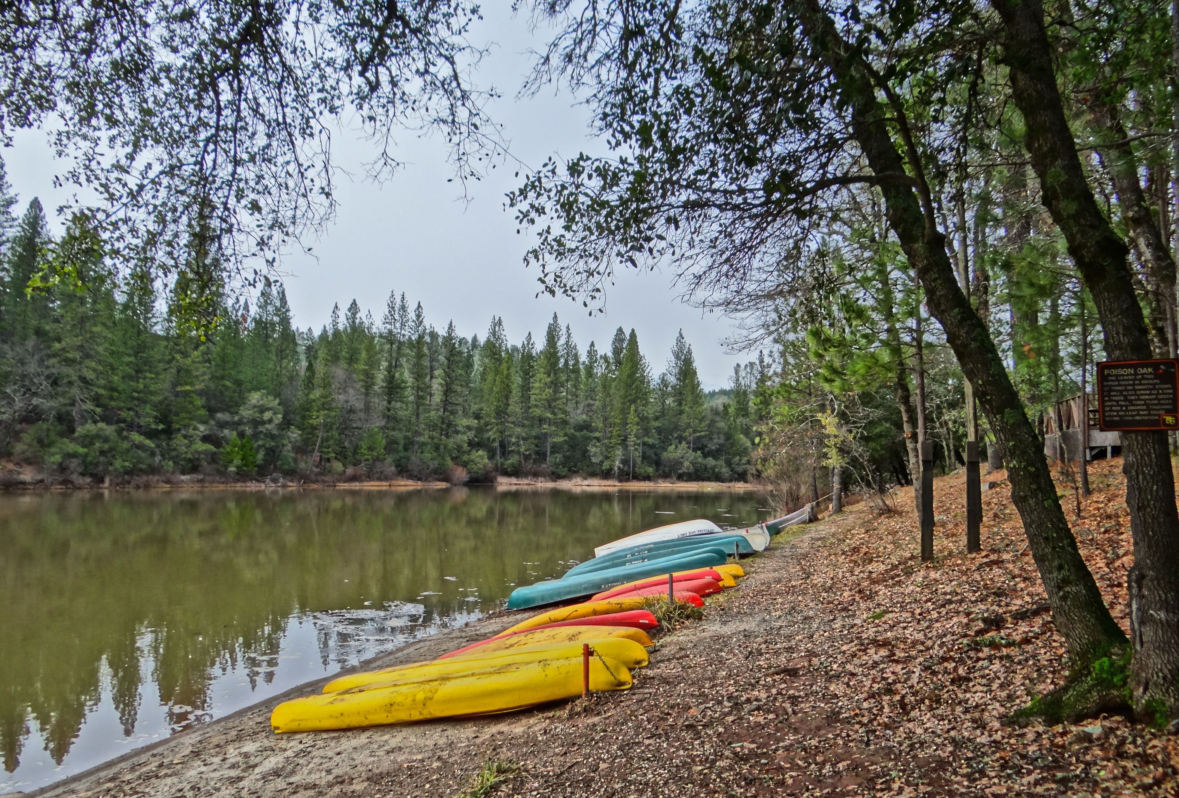 A row of canoes lined up on a pebbled shore beside a calm lake, surrounded by trees.