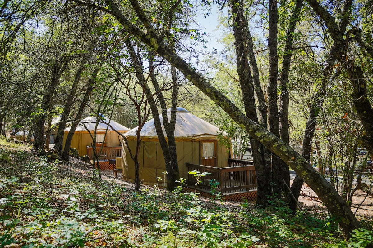 Yurts in a forested area with a wooden deck and a view of the surrounding trees.