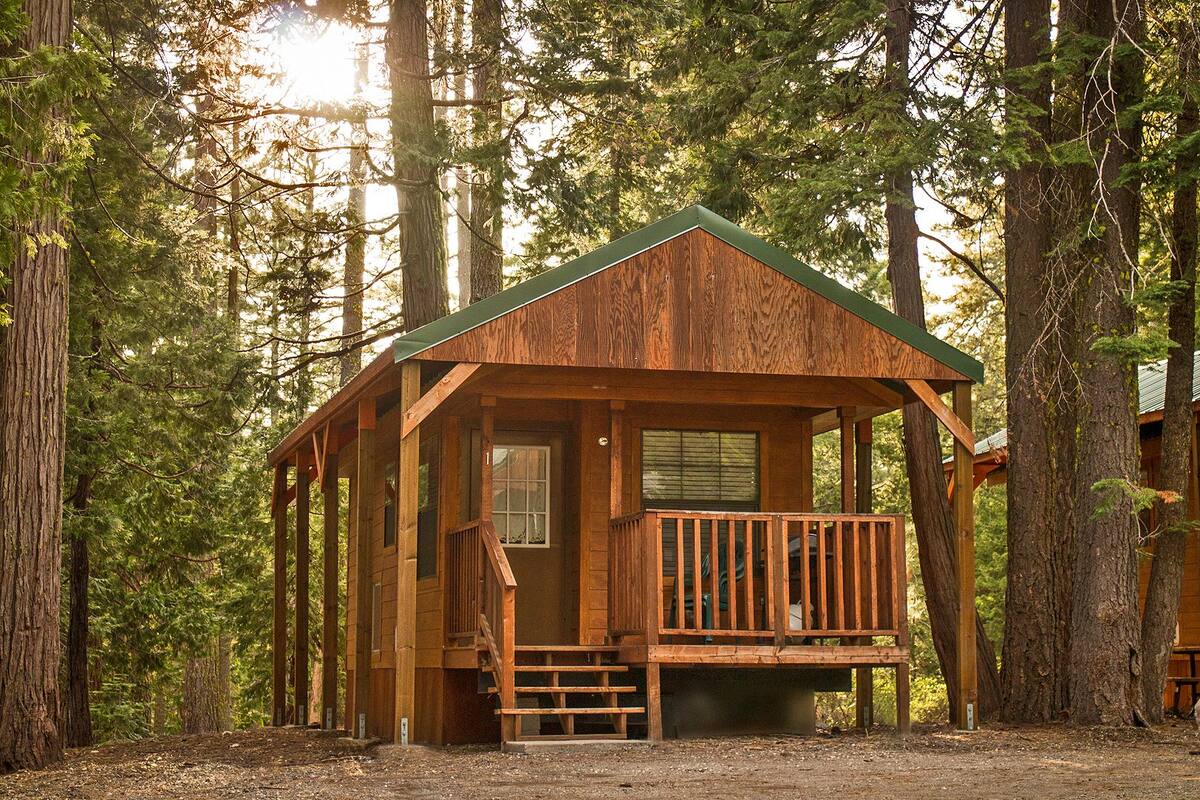 A wooden cabin with a porch and a small staircase, surrounded by tall trees.