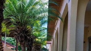 Een overdekte doorgang met palmbomen en kleurrijke planten, die leidt naar een gebouw met bogen.