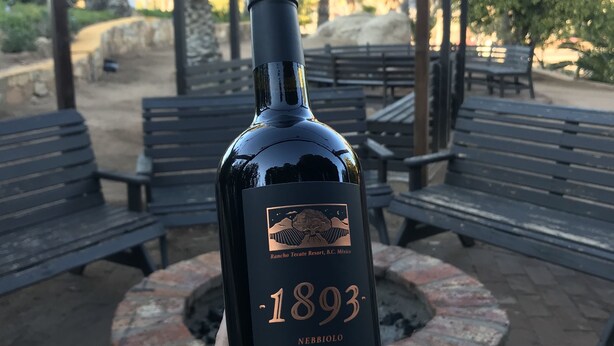 Vineyard - Hotel Boutique Rancho Tecate (Tecate)