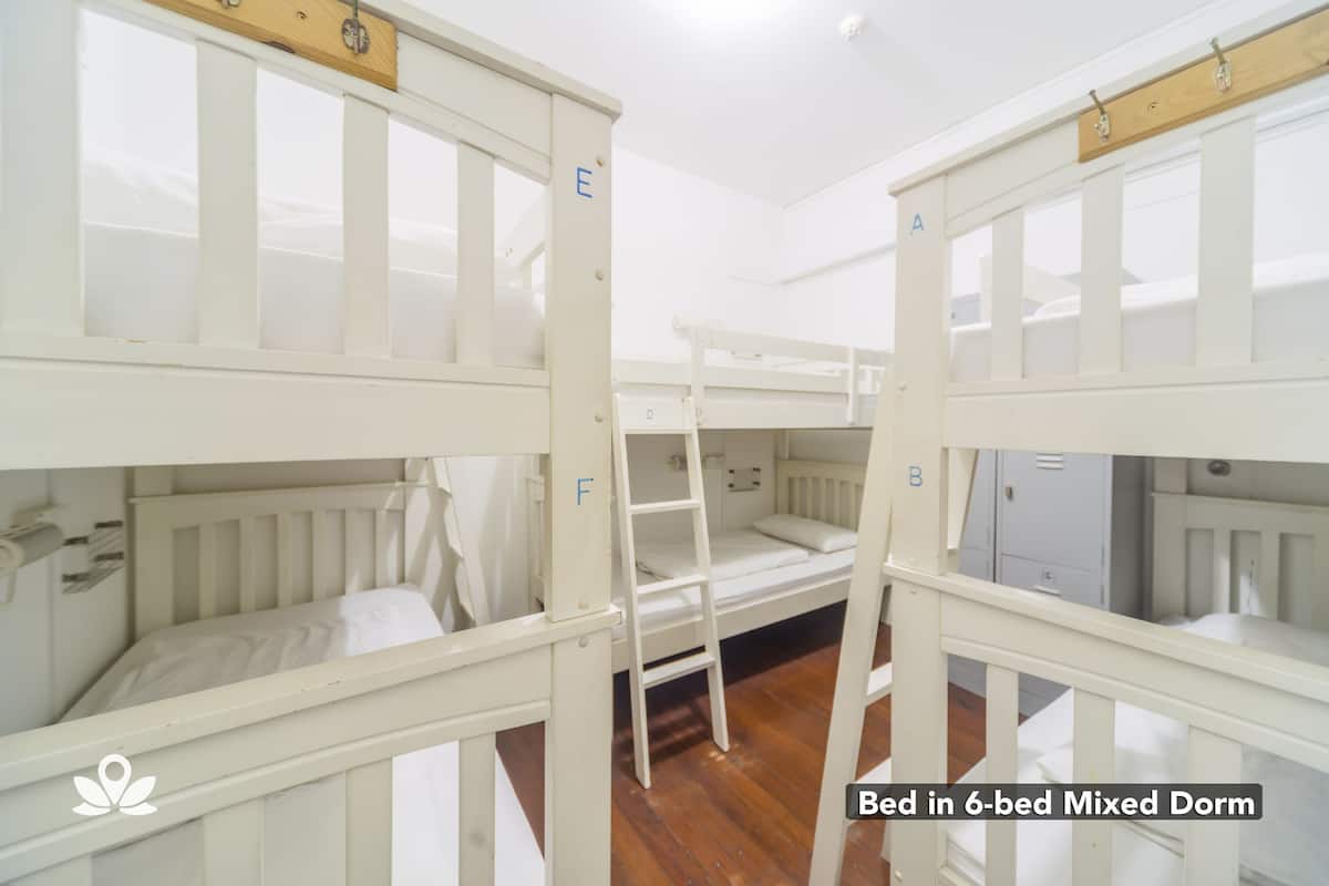 A 6-bed mixed dormitory with bunk beds, a ladder, and a white color scheme.