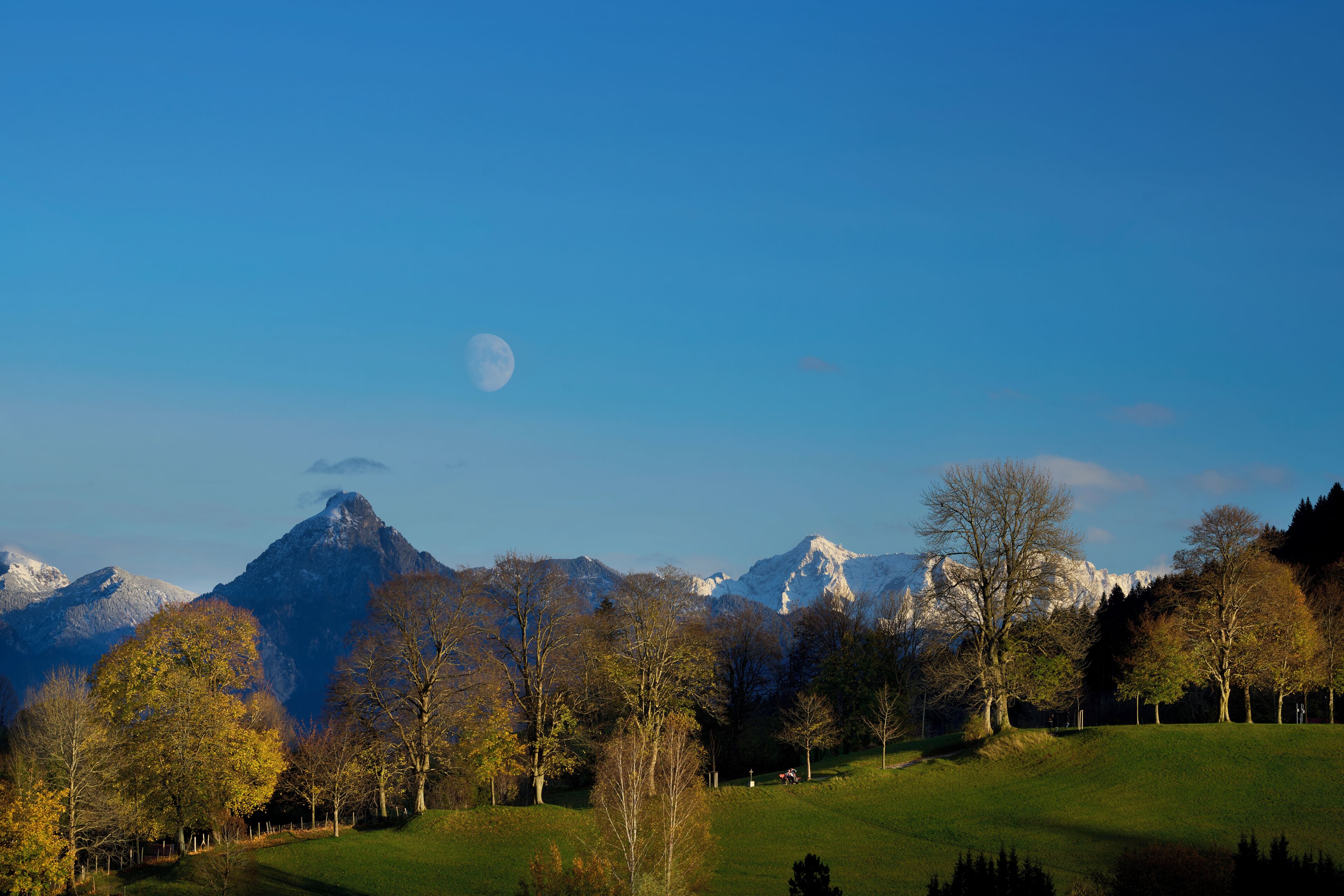 A mountainous landscape with a clear sky, trees, and a path.