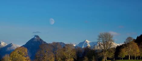 A mountainous landscape with a clear sky, trees, and a path.