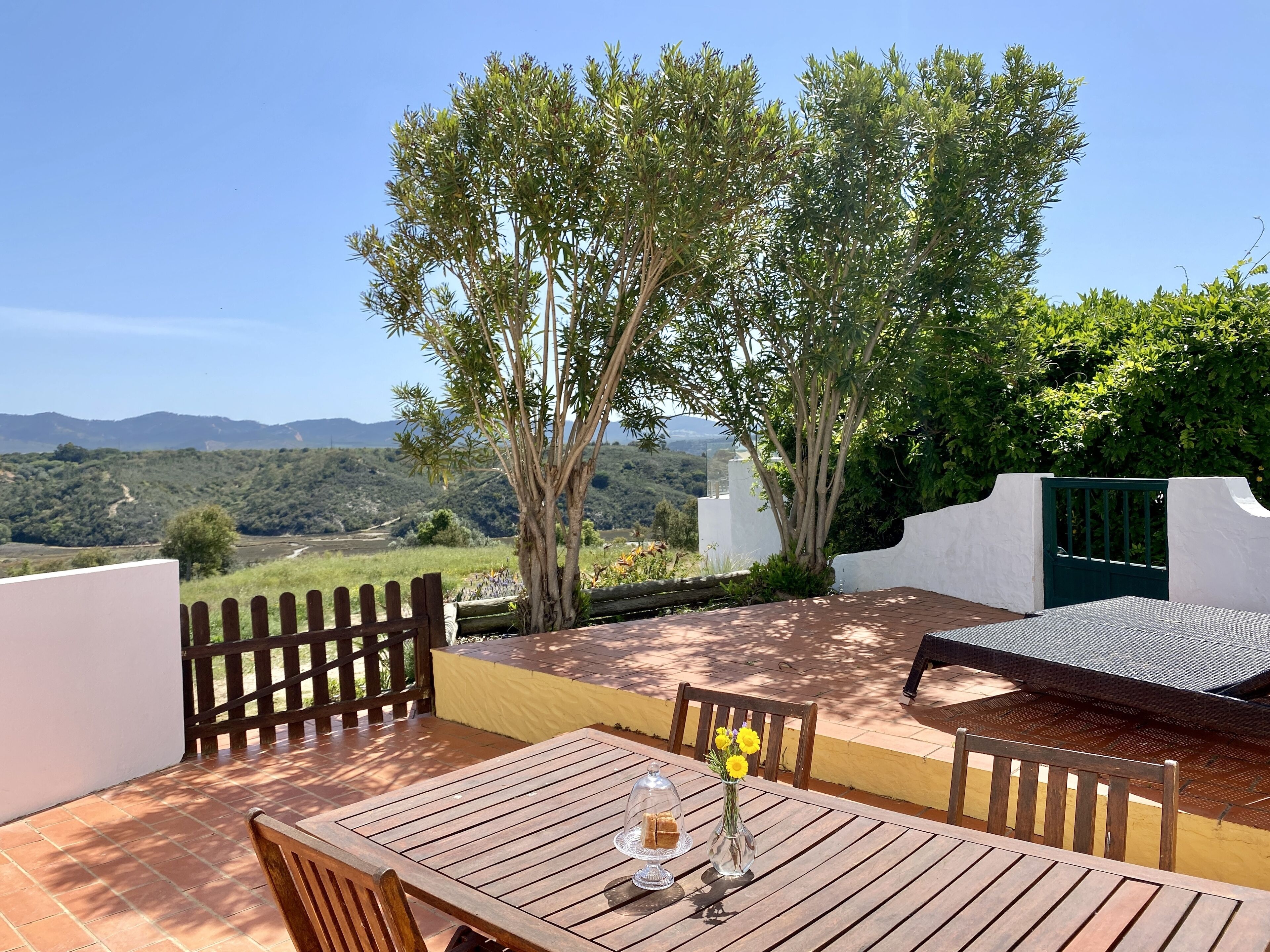 A wooden table with chairs, a glass dome, and a vase with yellow flowers on a patio with a view of hills and trees.