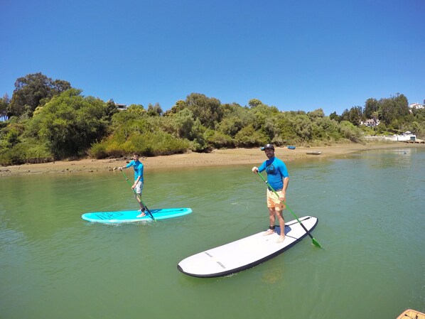 Two people stand on paddleboards in a calm river with greenery and houses in the background. - Monte do Zambujeiro (Odemira)