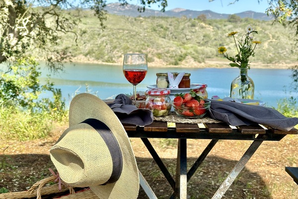BBQ/picnic area