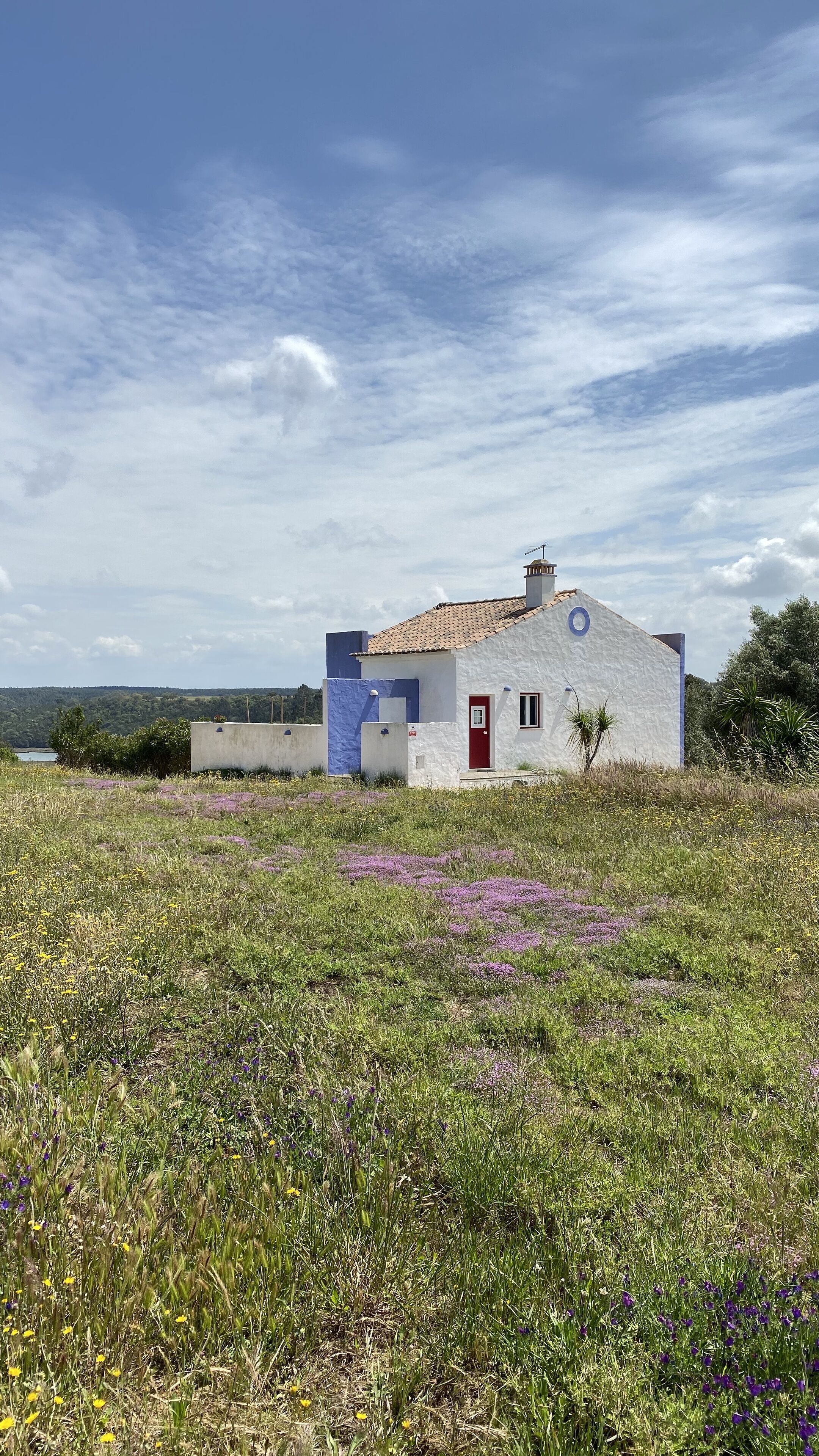 A small, single-story house with a red door and a blue accent wall, surrounded by a grassy field with purple flowers.