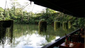 Lake - Rainforest Eco Lodge (Suva)