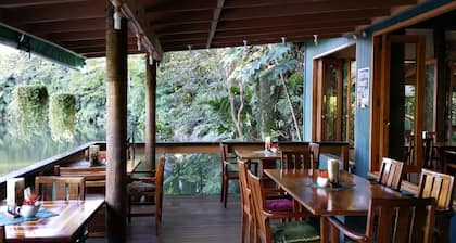 Rainforest Eco Lodge