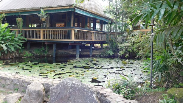 Terrace/patio - Rainforest Eco Lodge (Suva)