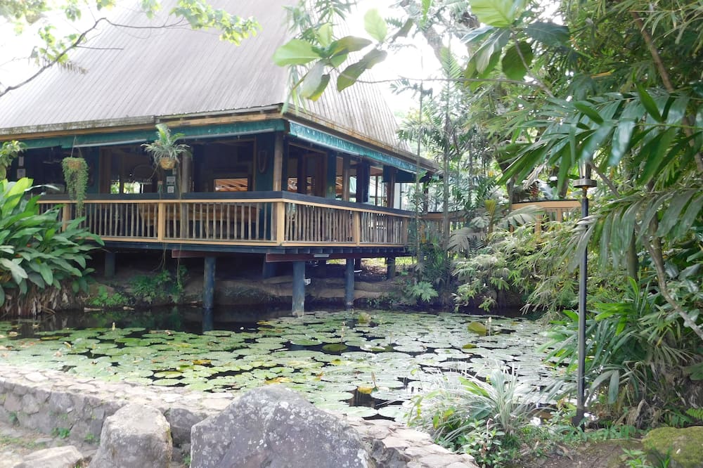 Rainforest Eco Lodge
