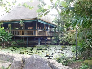 Terrace/patio - Rainforest Eco Lodge (Suva)
