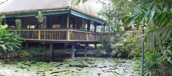 Rainforest Eco Lodge