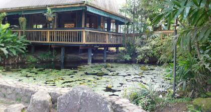 Rainforest Eco Lodge