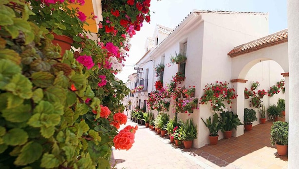 Una calle estrecha flanqueada por edificios blancos, macetas con plantas y flores colgantes.