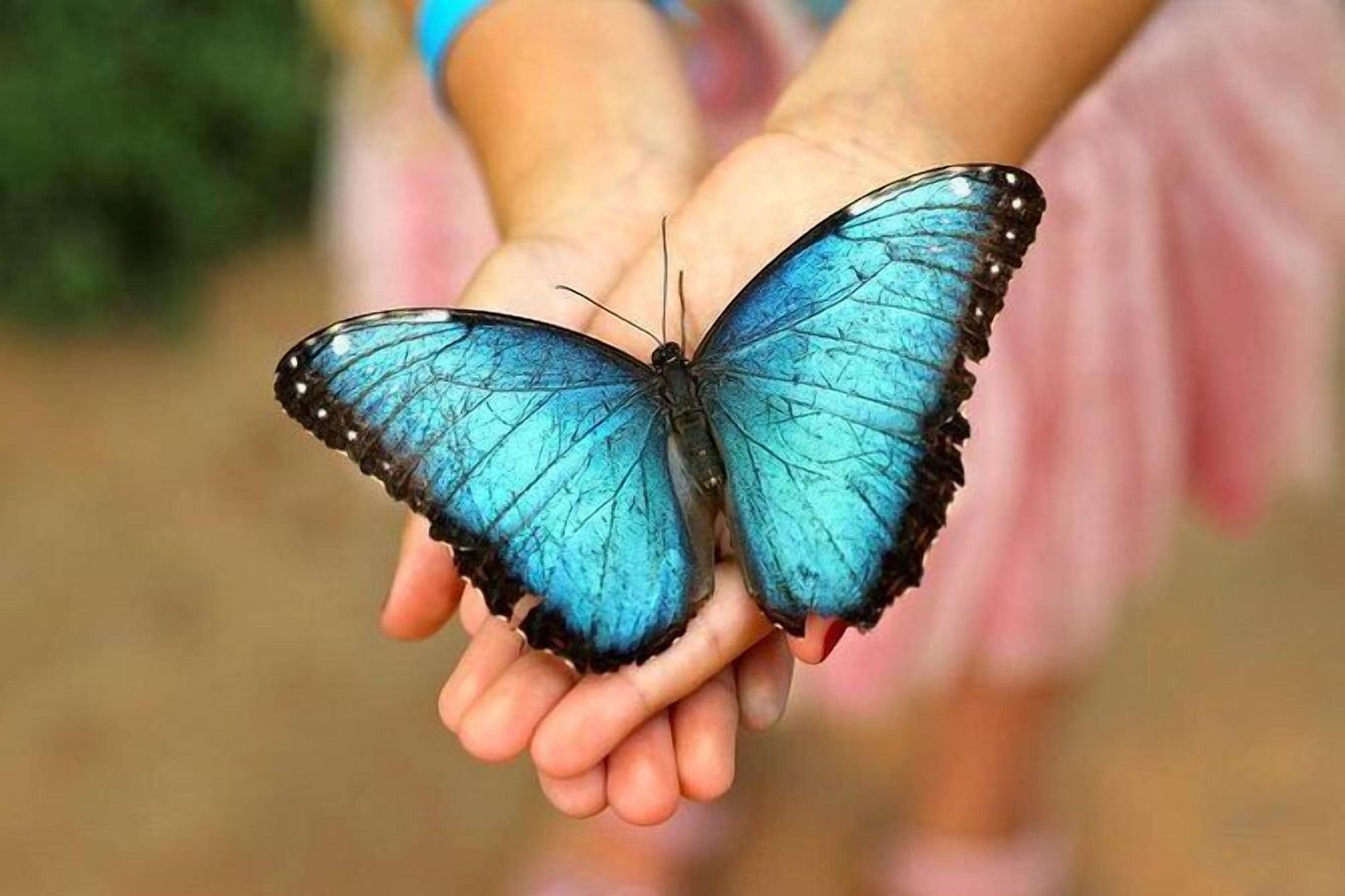 Foto - I AM La Posada Hotel and Apartment