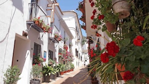 Una calle estrecha flanqueada por edificios blancos, cada uno decorado con macetas llenas de flores y un letrero que indica un hotel.