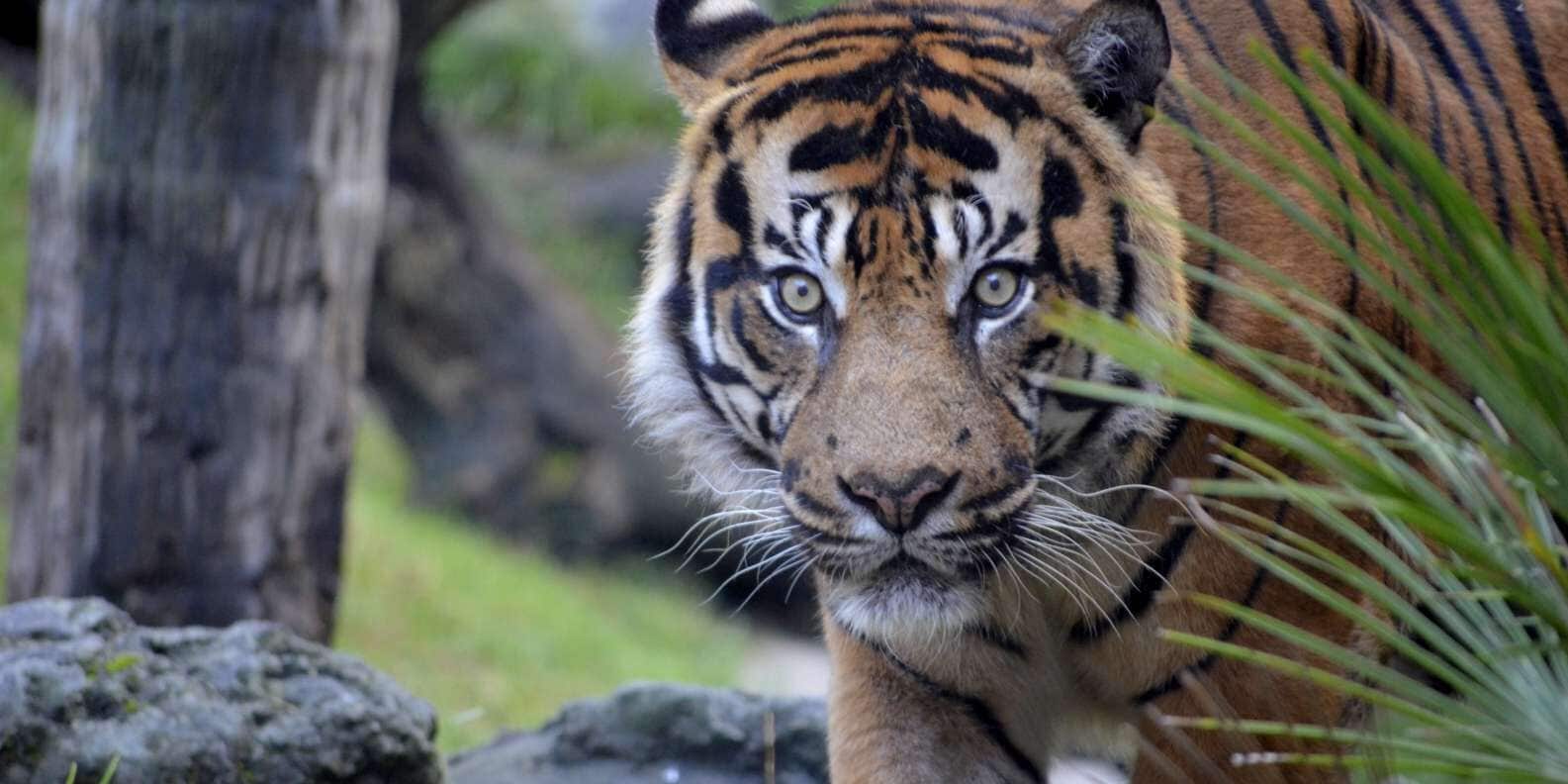 Photo - I AM La Posada Hotel and Apartment