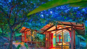 Een afgelegen boomhutachtige accommodatie met een glazen constructie, omringd door weelderig groen en een heldere nachthemel.