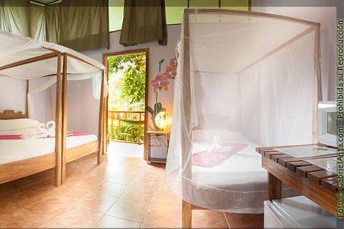 In-room safe, desk, free cots/infant beds, rollaway beds