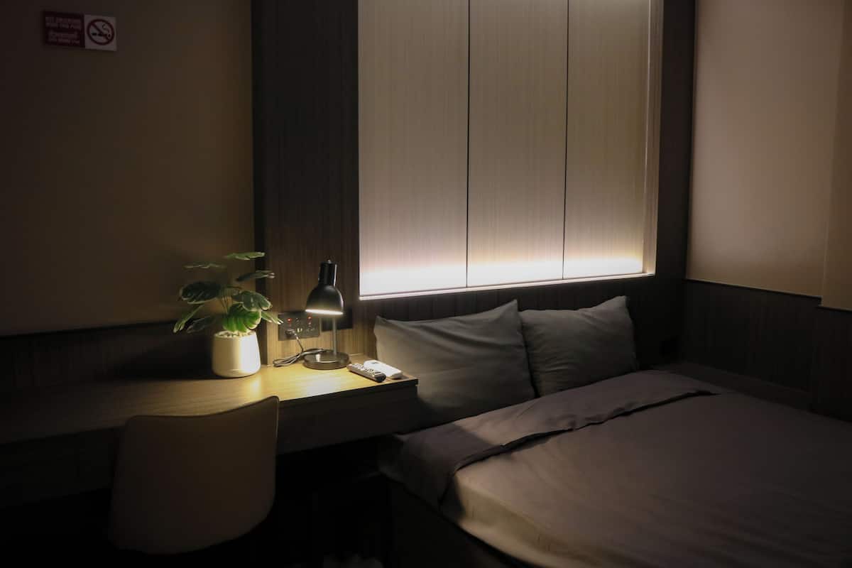 A hotel room with a bed, a desk with a lamp, a chair, and a potted plant.