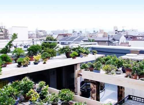 Bonsai Guesthouse - Hostel