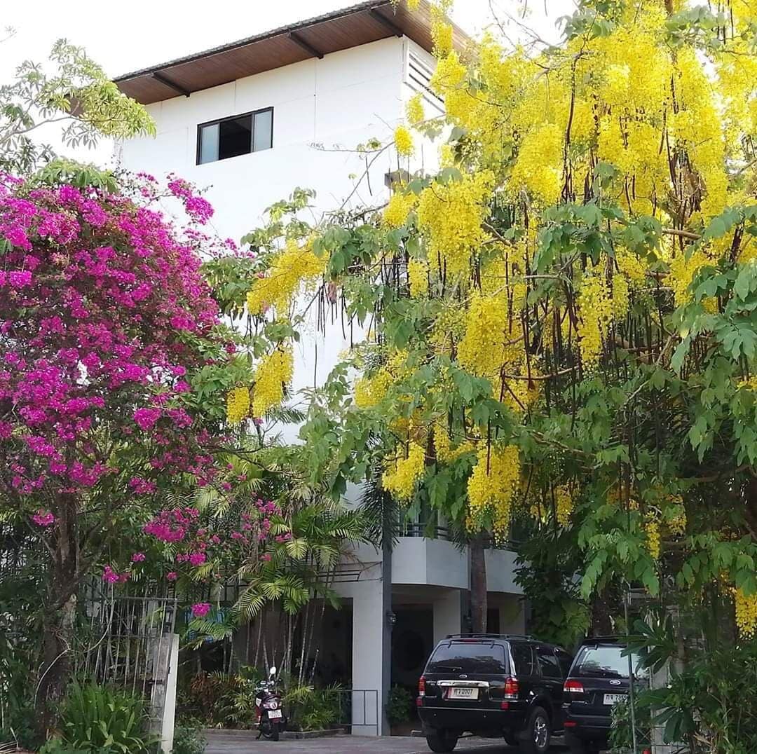 Photo - The Greenery Hotel