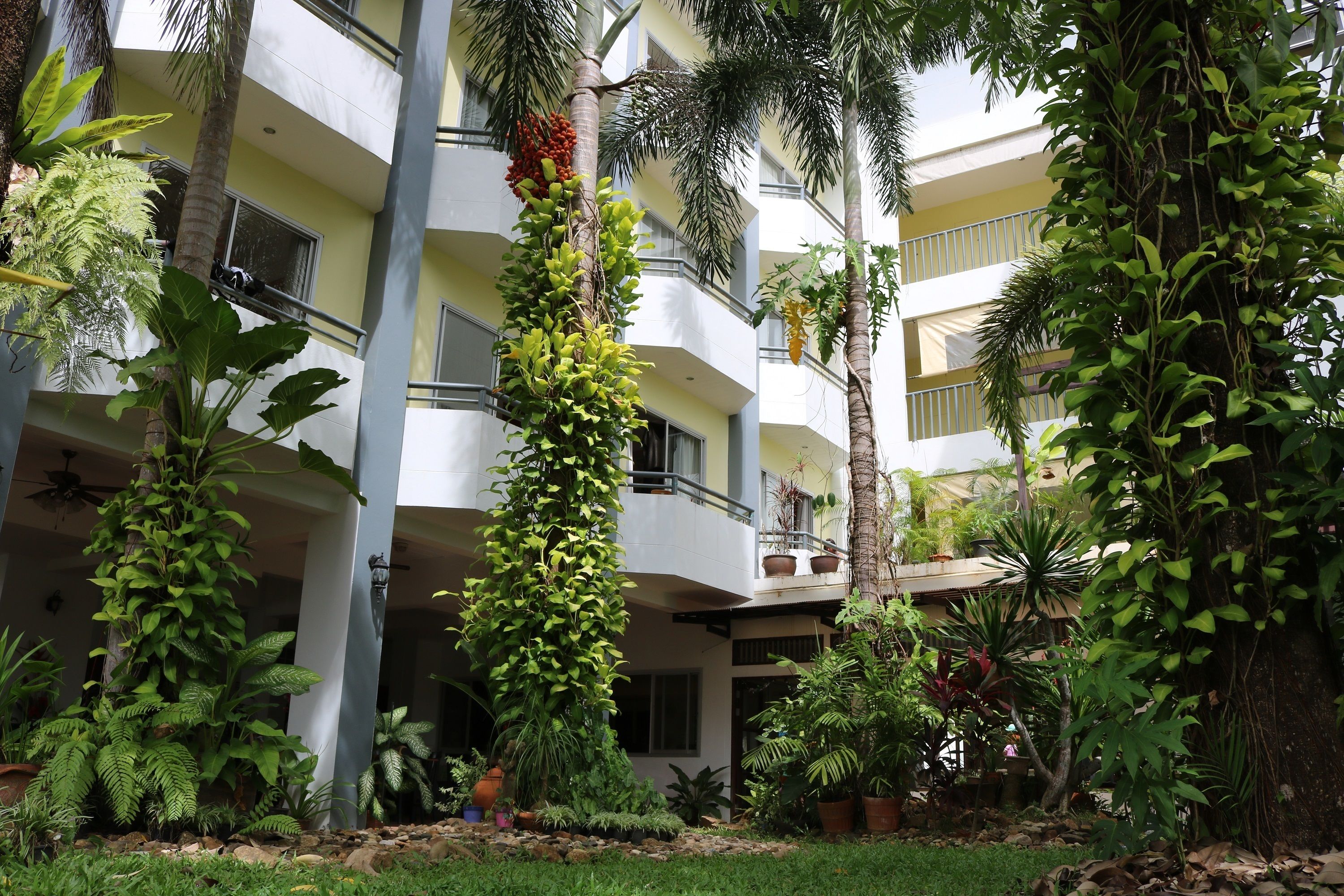 Photo - The Greenery Hotel