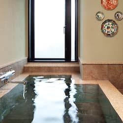 Habitación tradicional, no fumadores, vistas al río (Iki, JP style, indoor bath, courtyard) | Ropa de cama de alta calidad, minibar, caja fuerte y wifi gratis