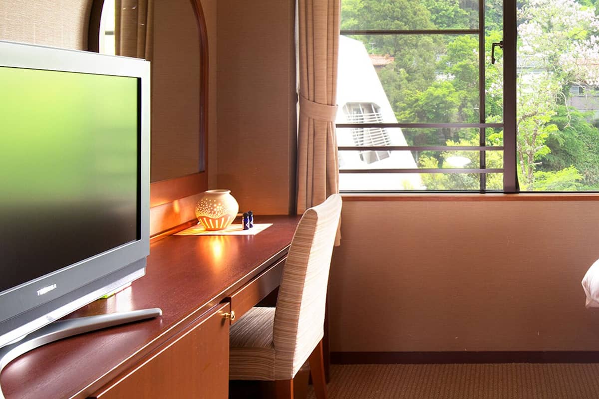 A hotel room with a bed, a desk with a television, and a window with a view of trees and buildings.