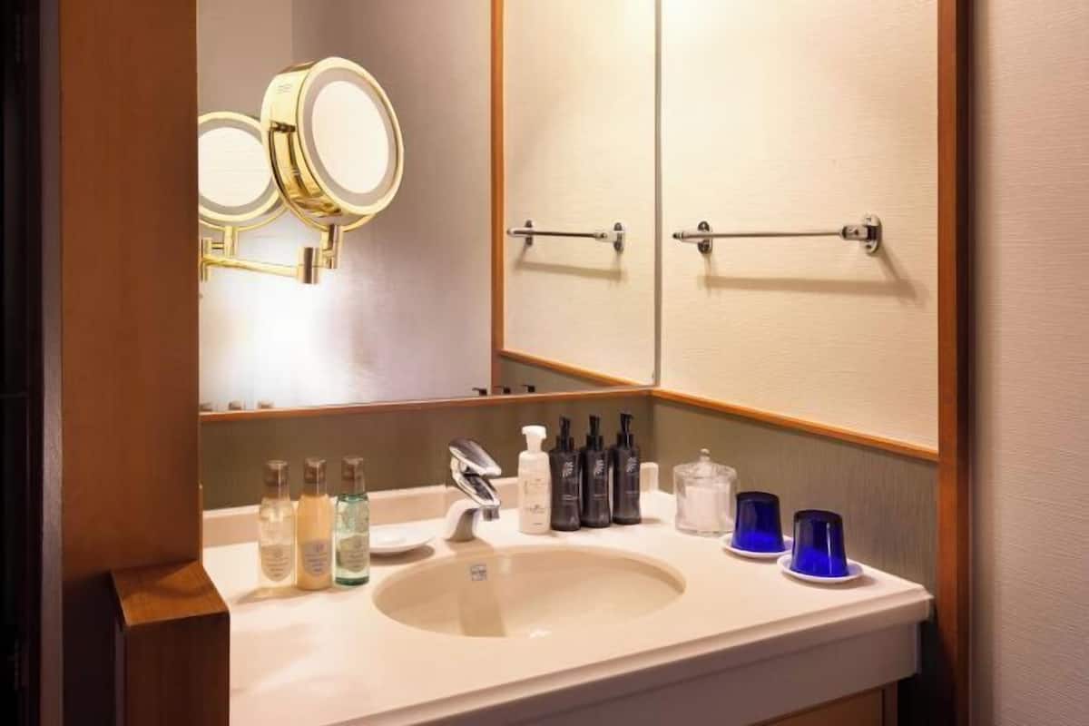 Badezimmer | Kostenlose Toilettenartikel, Haartrockner