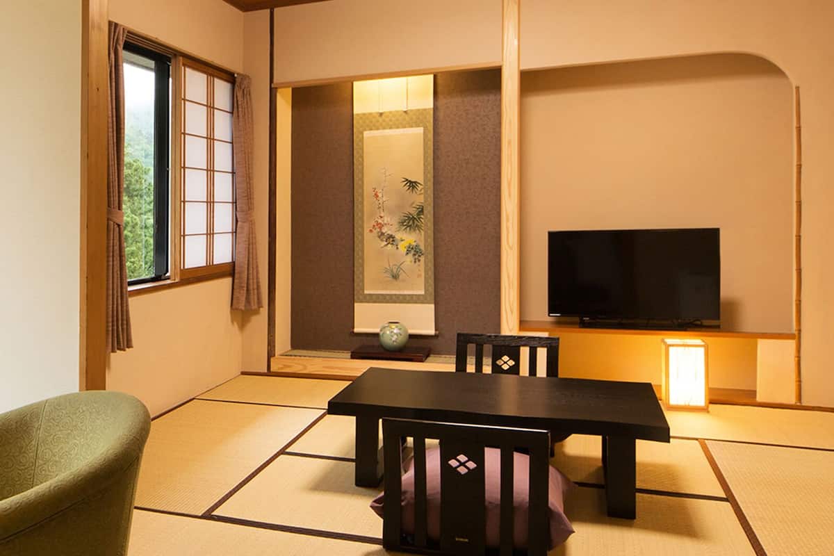A traditional Japanese room with tatami flooring, a low table with a cushion, a green chair, a TV, and a view of lush greenery outside.