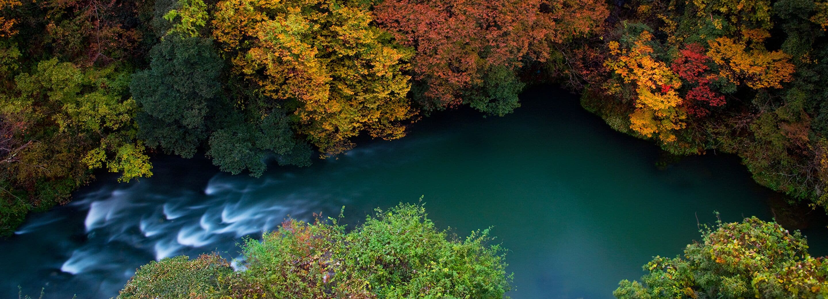 A river flowing through a forest with dense foliage and trees in autumn colors.