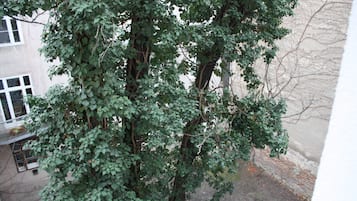 Basic Apartment, 1 Bedroom | Courtyard view