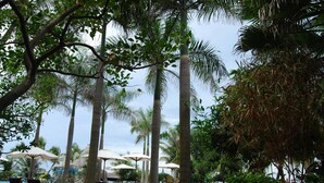 Un resort tropical con palmeras, sillas de descanso y sombrillas.