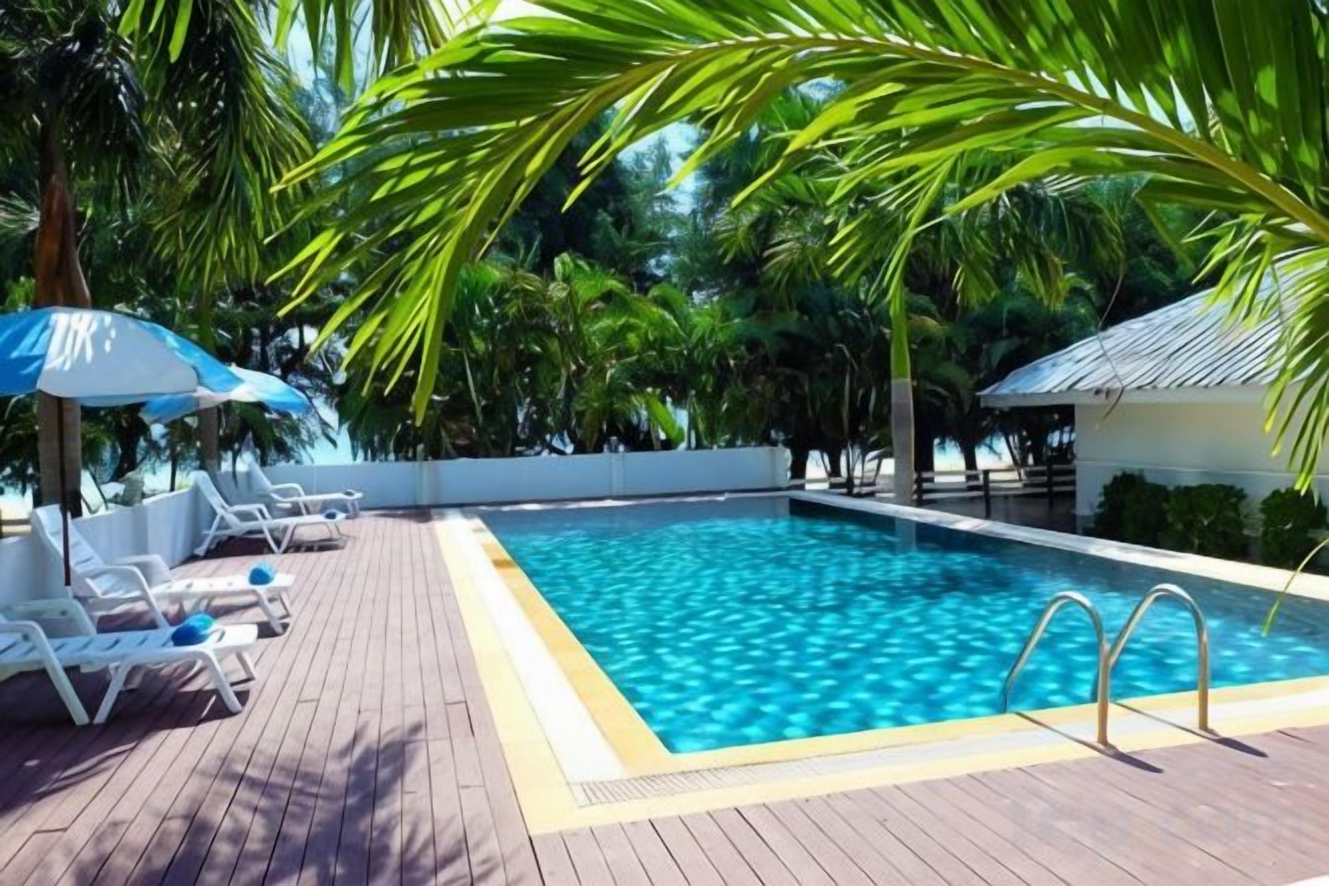 Una piscina con sillas de descanso y sombrillas, rodeada de palmeras.